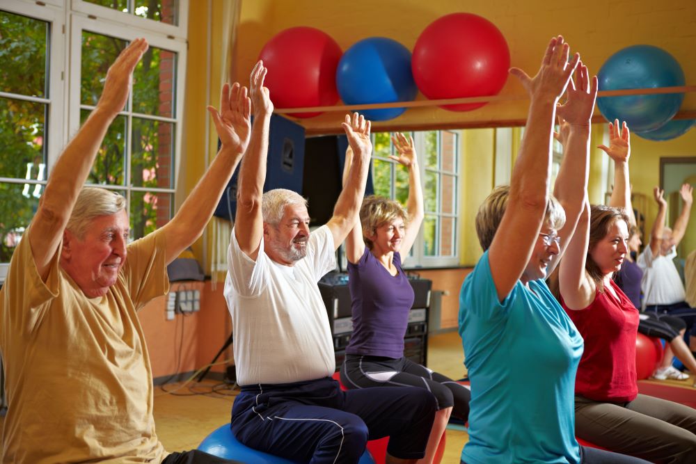 A very popular session at Bustamove is our Seniors group training sessions. These sessions are for the slightly older adults who care about their health and fitness and enjoy being challenged. We hold the Seniors sessions both indoors and outdoors with a big focus on core stability, resistance training for improved bone density and heart health through cardiovascular fitness. At the Seniors training we cater for all levels of fitness and ability.